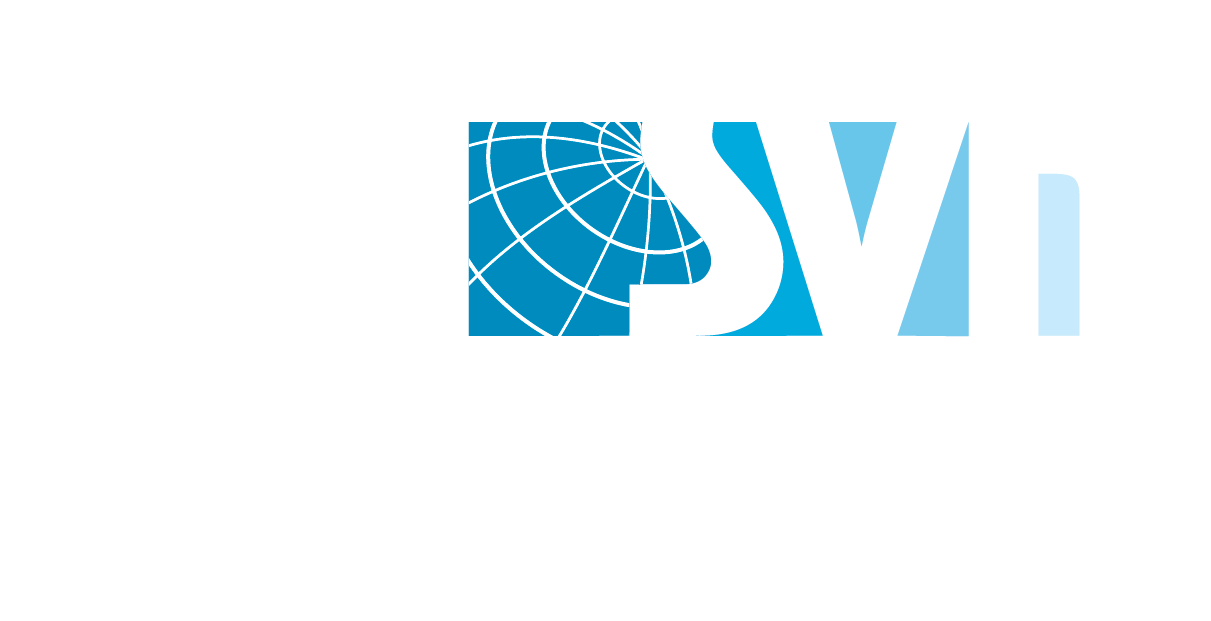 Marca svn engenharia de levantamentos 30anos